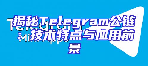 揭秘Telegram公链：技术特点与应用前景