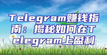 Telegram赚钱指南：揭秘如何在Telegram上盈利