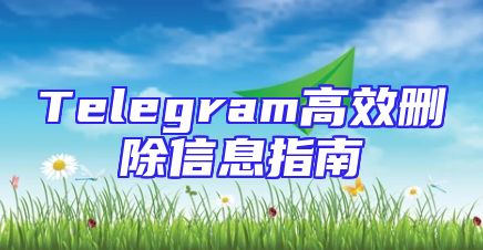 Telegram高效删除信息指南