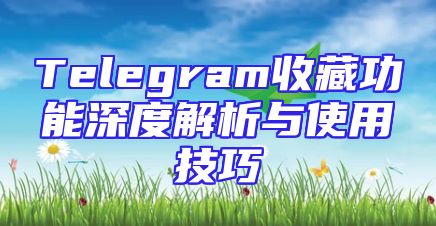 Telegram收藏功能深度解析与使用技巧