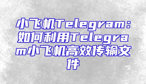 小飞机Telegram：如何利用Telegram小飞机高效传输文件