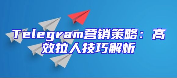Telegram营销策略：高效拉人技巧解析