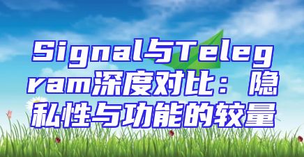 Signal与Telegram深度对比：隐私性与功能的较量