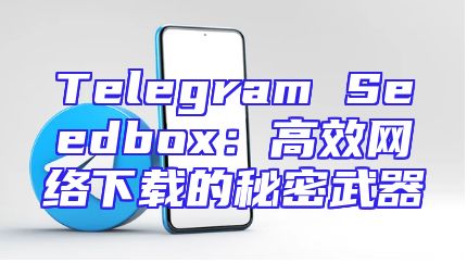 Telegram Seedbox：高效网络下载的秘密武器