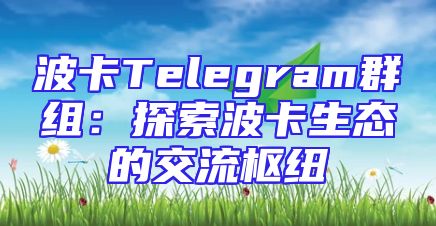 波卡Telegram群组：探索波卡生态的交流枢纽