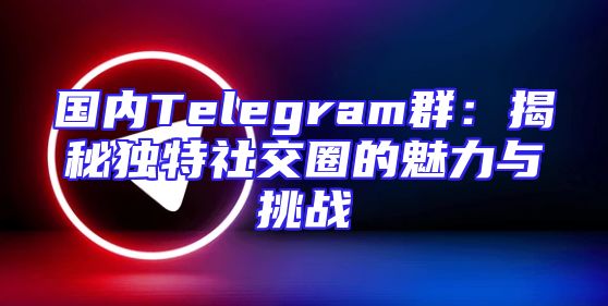 国内Telegram群：揭秘独特社交圈的魅力与挑战