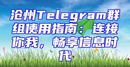 沧州Telegram群组使用指南：连接你我，畅享信息时代