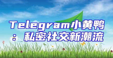 Telegram小黄鸭：私密社交新潮流
