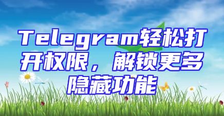 Telegram轻松打开权限，解锁更多隐藏功能