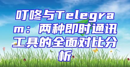 叮咚与Telegram：两种即时通讯工具的全面对比分析